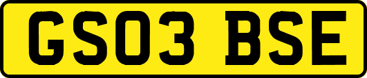 GS03BSE