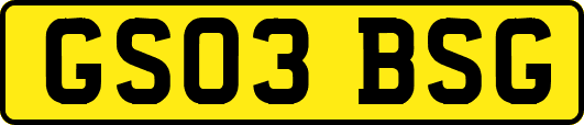 GS03BSG