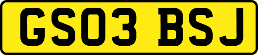 GS03BSJ