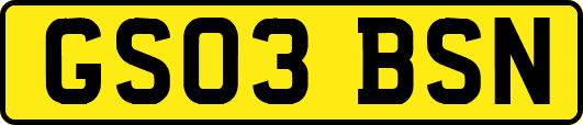 GS03BSN