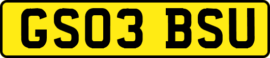 GS03BSU