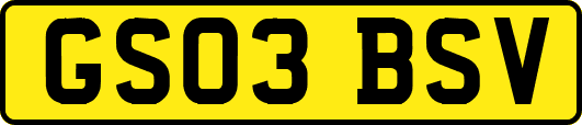 GS03BSV