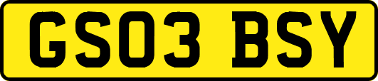 GS03BSY
