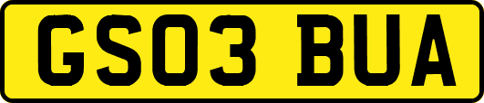 GS03BUA