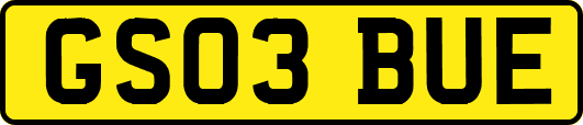 GS03BUE
