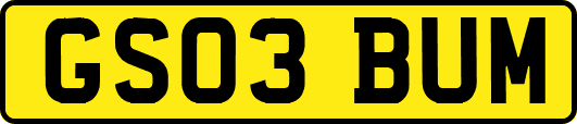GS03BUM