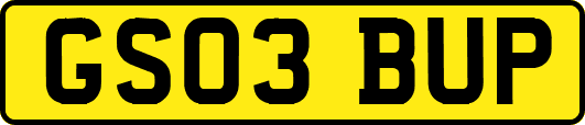 GS03BUP