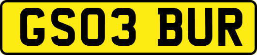 GS03BUR