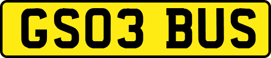 GS03BUS