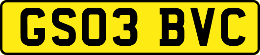 GS03BVC