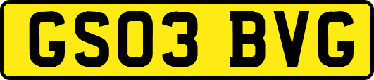 GS03BVG