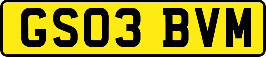 GS03BVM