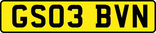 GS03BVN