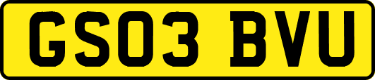 GS03BVU