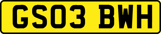 GS03BWH