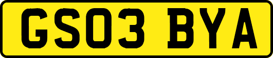 GS03BYA