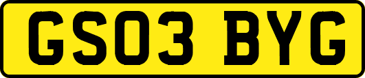 GS03BYG