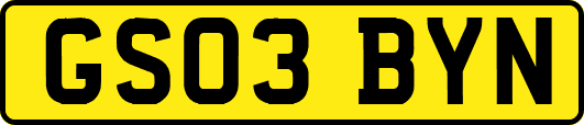 GS03BYN