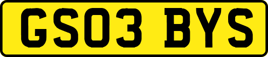 GS03BYS