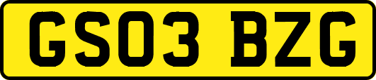GS03BZG