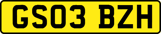 GS03BZH
