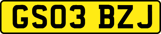 GS03BZJ