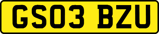 GS03BZU