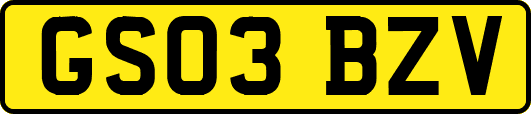 GS03BZV