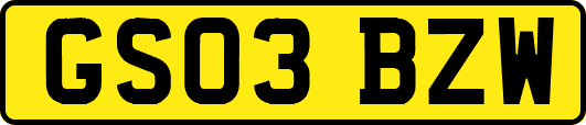 GS03BZW