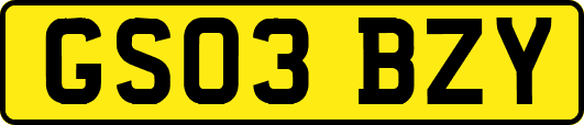 GS03BZY