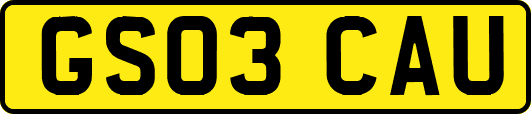 GS03CAU