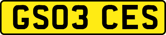 GS03CES