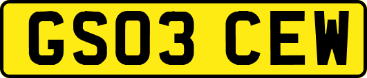GS03CEW
