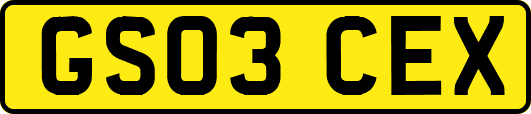 GS03CEX