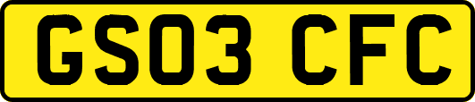 GS03CFC