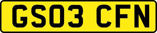 GS03CFN
