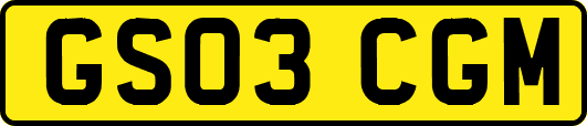 GS03CGM