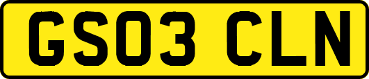 GS03CLN