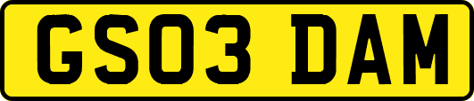 GS03DAM