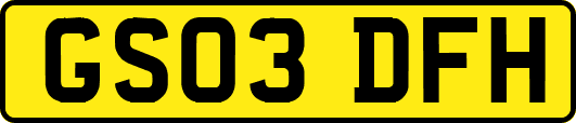 GS03DFH