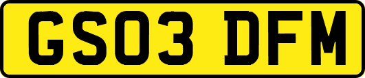 GS03DFM
