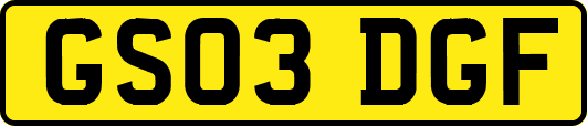 GS03DGF