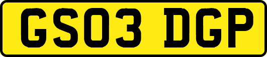 GS03DGP