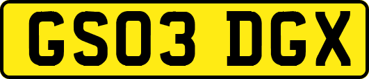 GS03DGX