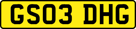 GS03DHG