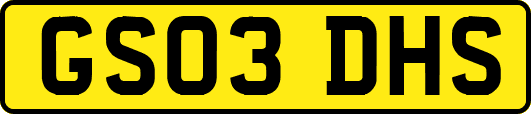 GS03DHS