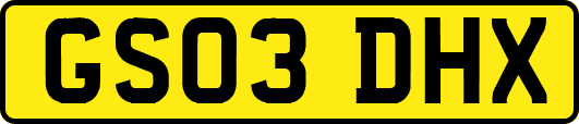 GS03DHX