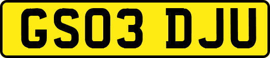 GS03DJU