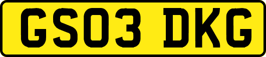 GS03DKG