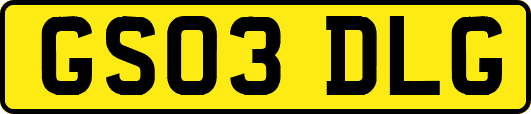 GS03DLG